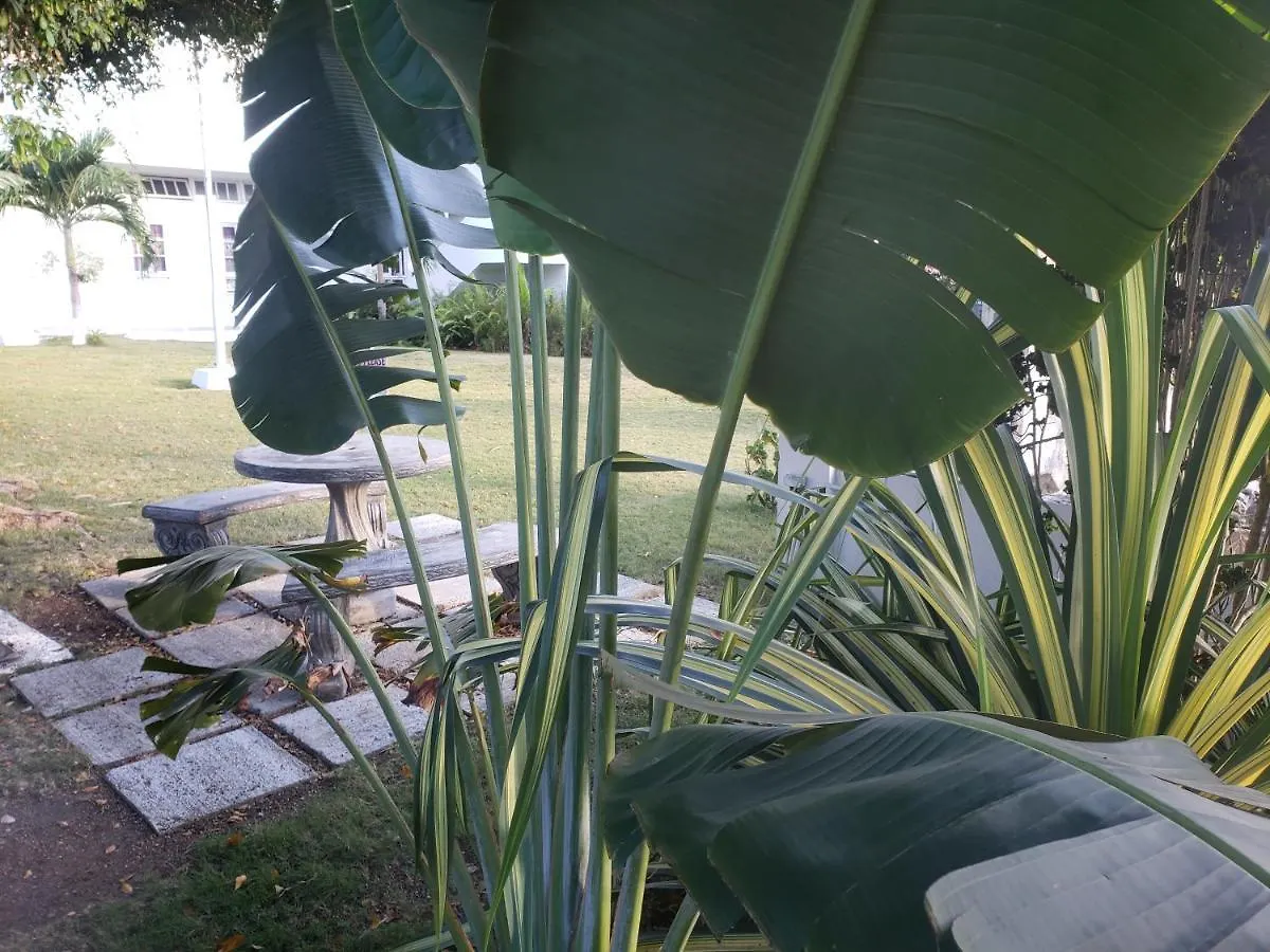 Bed and breakfast Sea Shell Palms, Ocho Ríos Couette-café