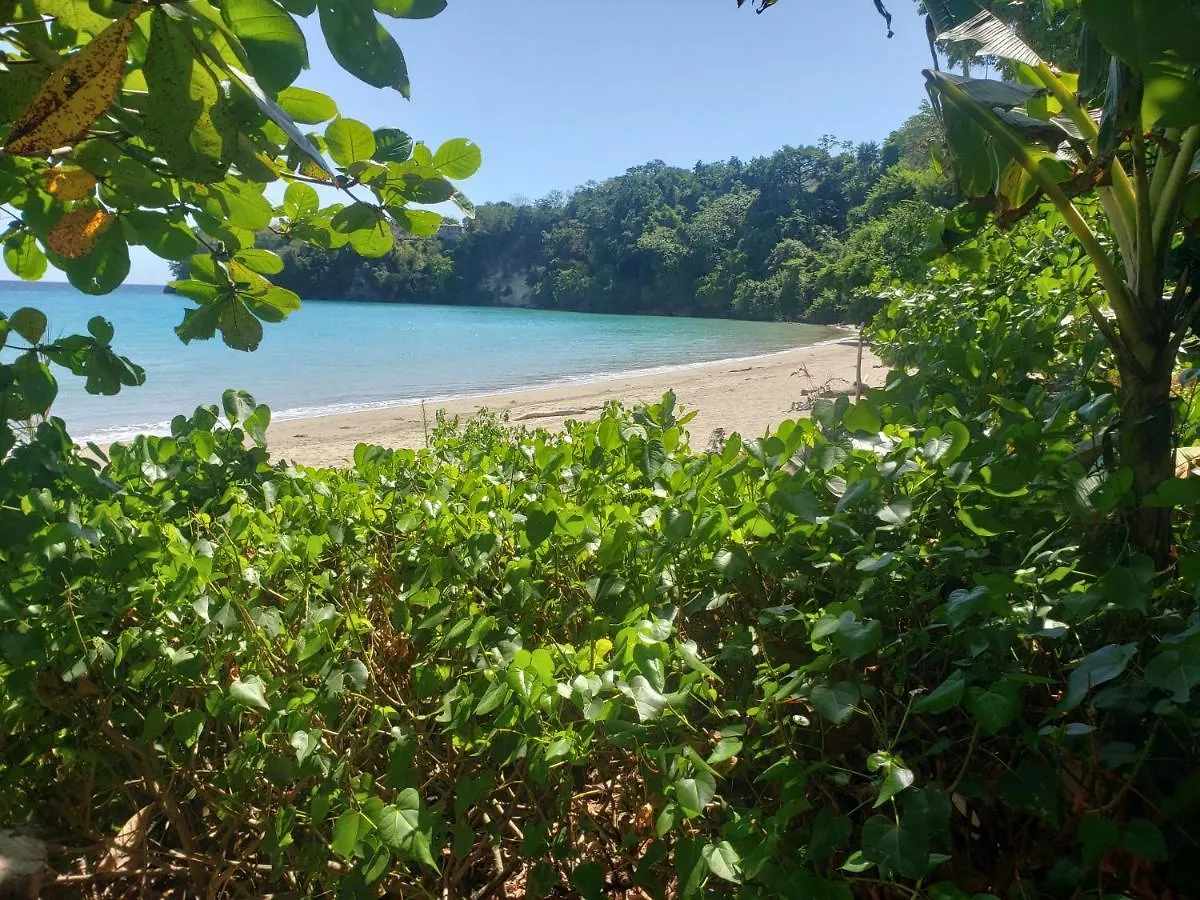 Sea Shell Palms, Ocho Rios Bed & Breakfast