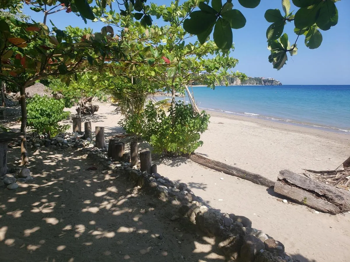Sea Shell Palms, Ocho Rios Bed & Breakfast
